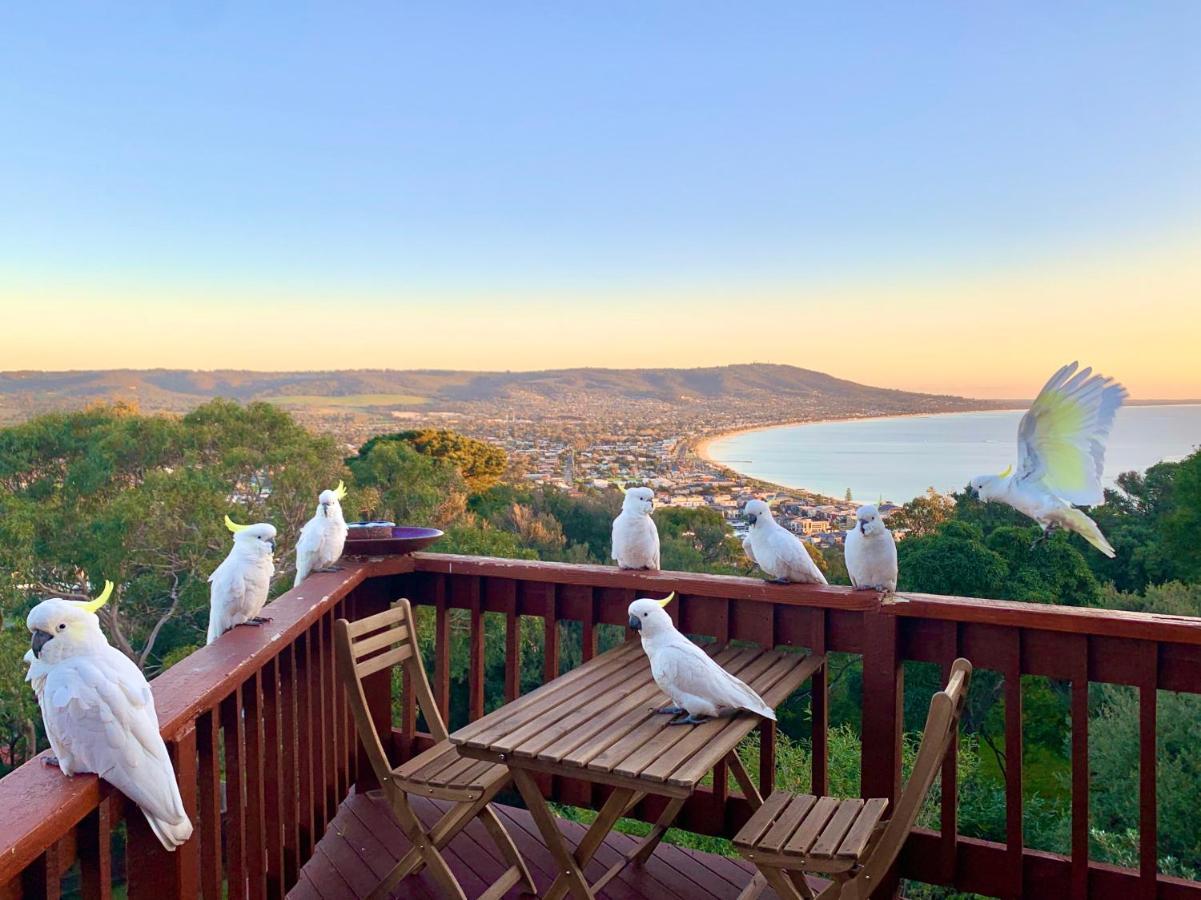 Villa Kinoie Mornington - Oceanview Mount Martha Esterno foto