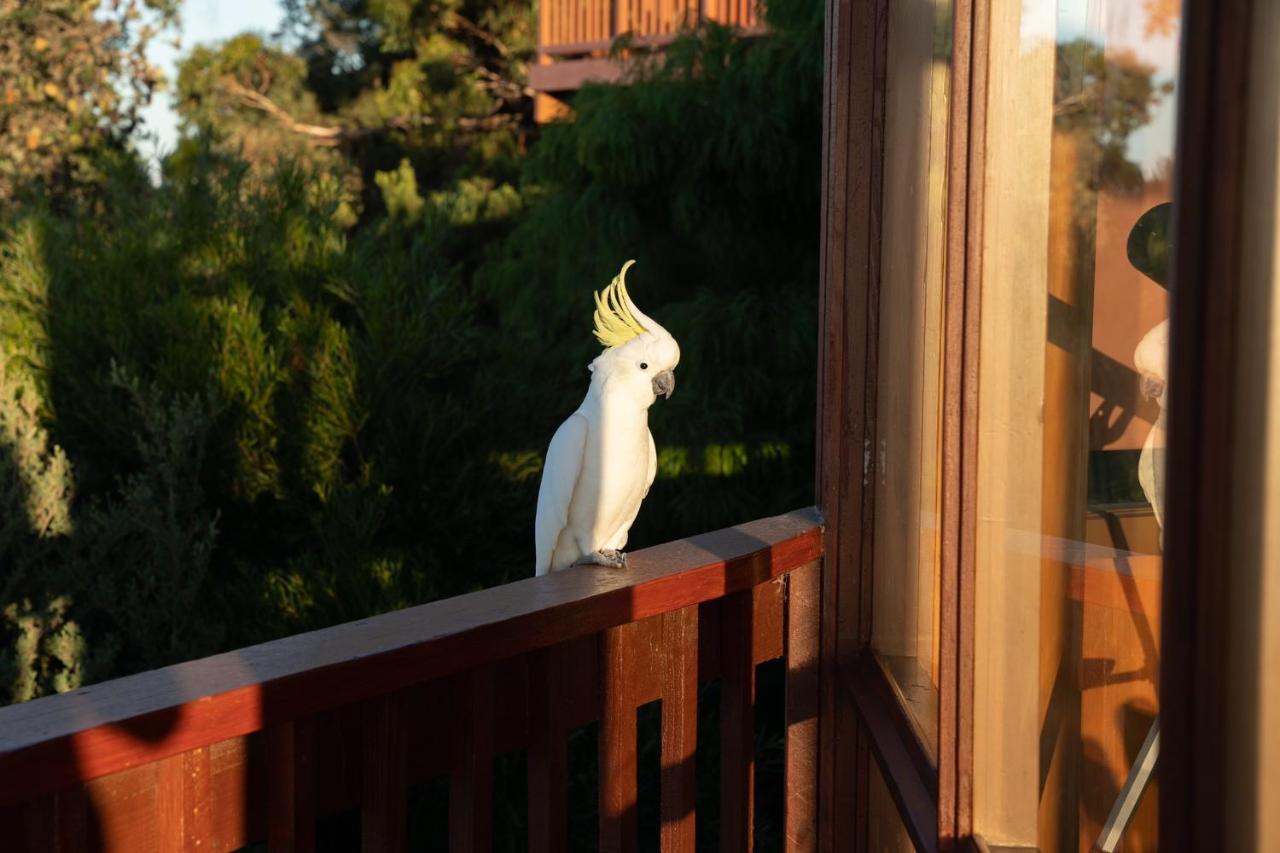 Villa Kinoie Mornington - Oceanview Mount Martha Esterno foto